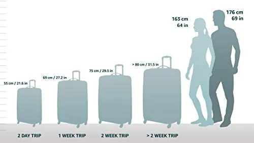 Hartmann Century Travel Duffel Carry-On Luggage, Mocha Monogram